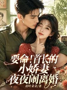 要命!首長的小嬌妻夜夜鬧離婚 封面