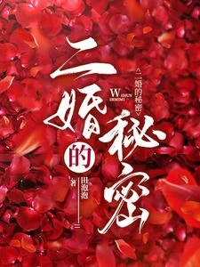 二婚的秘密 封面