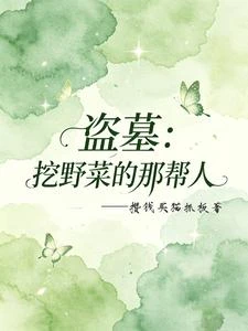 盜墓：挖野菜的那幫人 封面