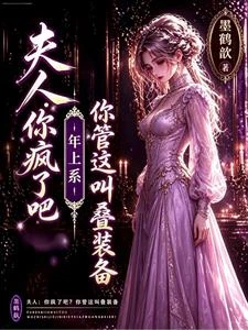 夫人：你瘋了吧？你管這叫疊裝備 封面