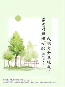 穿成對照組女配我把男女主玩瘋了 封面
