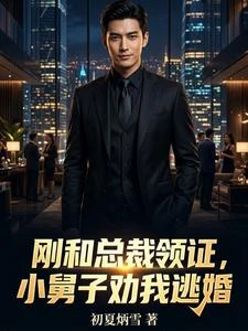剛和總裁領證,小舅子勸我逃婚 封面