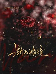 《漸入婚境》封面