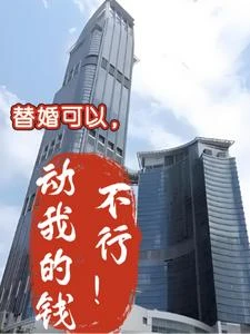 替婚可以，動我的錢不行！ 封面