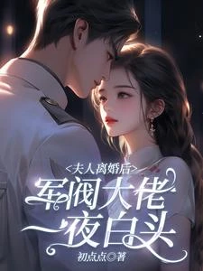 夫人離婚後,軍閥大佬一夜白頭 封面