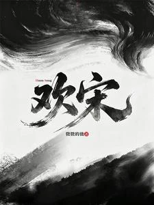 《歡宋》封面