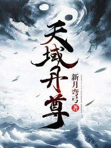 天域丹尊 封面