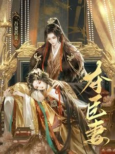 奪臣妻：吾妻甚美 封面