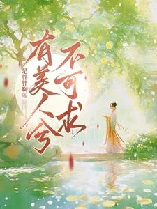 有美人兮，不可求 封面