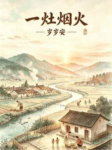 一灶煙火歲歲安 封面