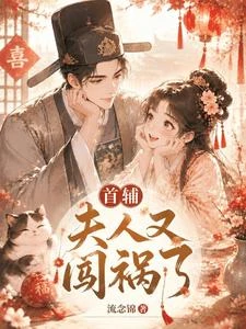 首輔，夫人又闖禍了 封面