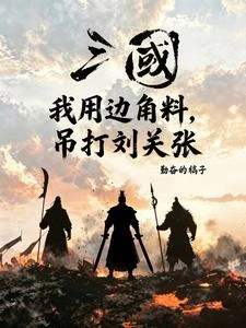 三國:我用邊角料,吊打劉關張 封面