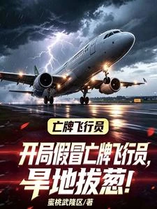 開局假冒亡牌飛行員,旱地拔蔥! 封面