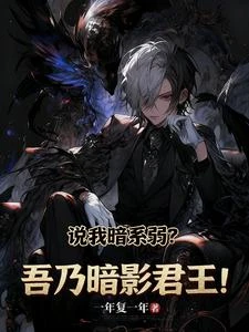 《說我暗系弱?吾乃暗影君王!》封面