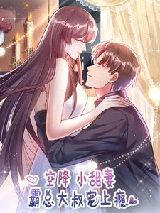 空降小甜妻:霸總大叔寵上癮 封面