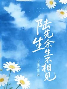 陸先生，餘生不相見 封面
