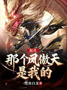 起開，那個鳳傲天是我的 封面