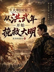 大明國舅：從洪武年開始挽救大明 封面