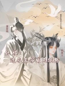 紅樓:這個王爺黛玉很熟 封面
