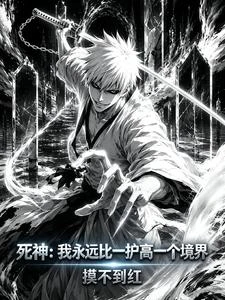 死神：我永遠比一護高一個境界 封面