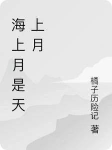 海上月是天上月 封面