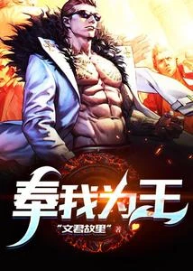奉我為王 封面