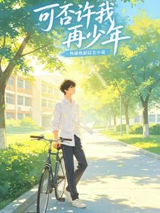可否許我再少年? 封面