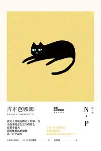 N·P 封面