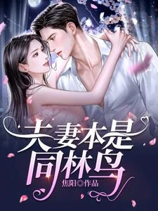 夫妻本是同林鳥 封面