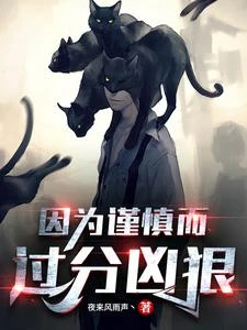 因為謹慎而過分兇狠 封面