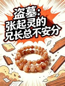 驚!張起靈的哥哥是個小正太 封面