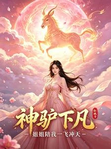 神驢下凡，姐姐陪我一飛衝天 封面