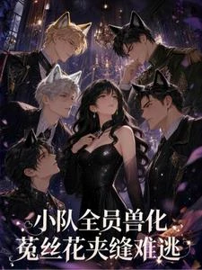 亂世歡喜 封面