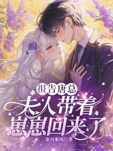 唐總,夫人偷偷生崽了 封面