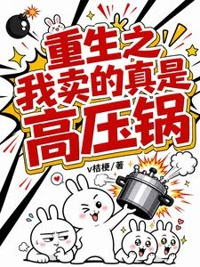 海關同志，我賣的真是高壓鍋 封面