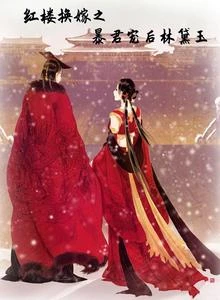 黛玉恰逢良人時 封面