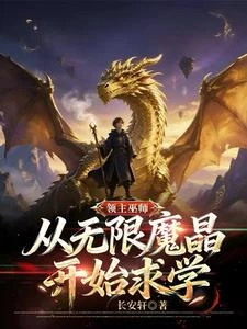 領主巫師 封面