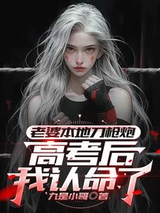 車牌全是豹子號，我老婆是刀槍炮 封面