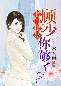 與你盛夏歲歲安 封面