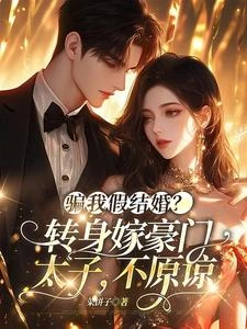 嫁給盛先生 封面