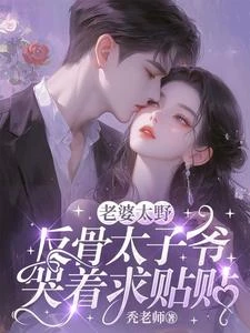 夫人她專治不服 封面