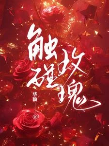 觸碰玫瑰 封面
