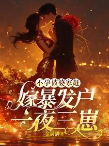 風風火火的她 封面