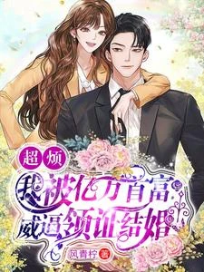 應聘當天,頂頭上司拉着我領證 封面