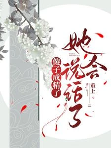 傻小丫穿越記 封面