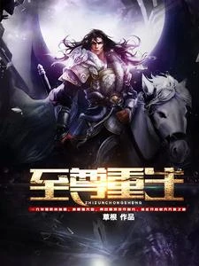 至尊重生 封面