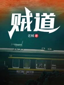 千面賊王 封面