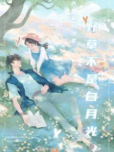野荷刺 封面