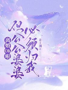 離婚，先問過我公婆再說 封面