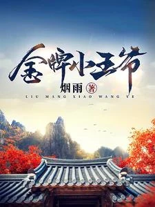 金牌帝婿 封面